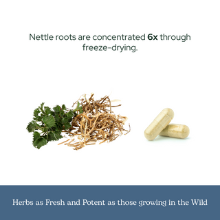 Nettle Root Capsules