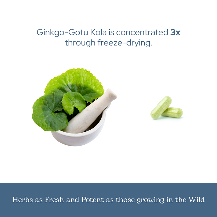 Ginkgo - Gotu Kola Capsules