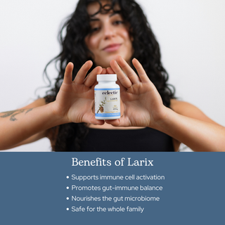 Larix Capsules