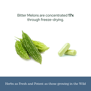 Bitter Melon Capsules