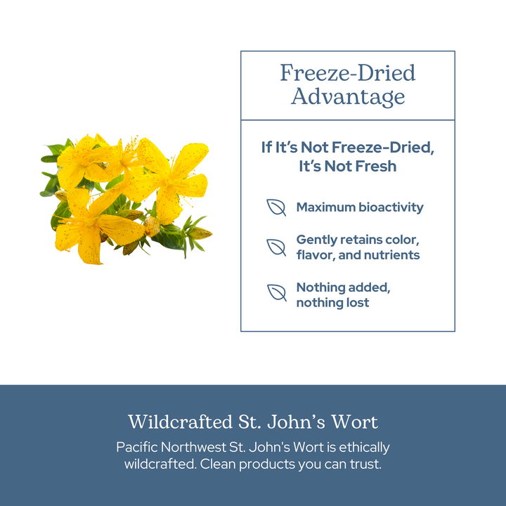 St. John's Wort Capsules
