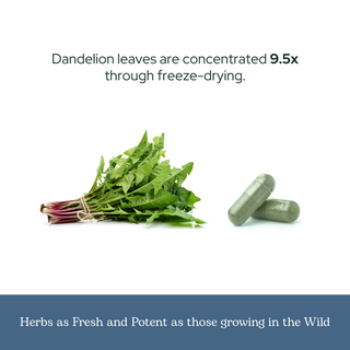 Dandelion Leaf Capsules