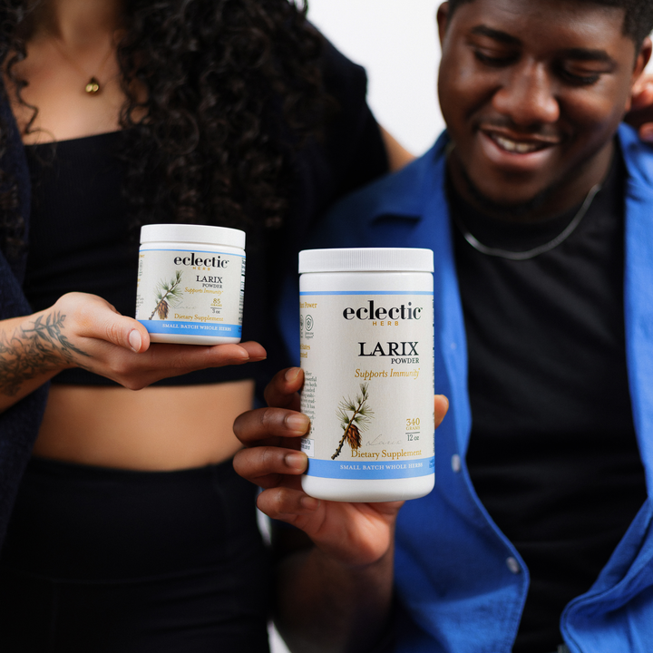 Larix Powder