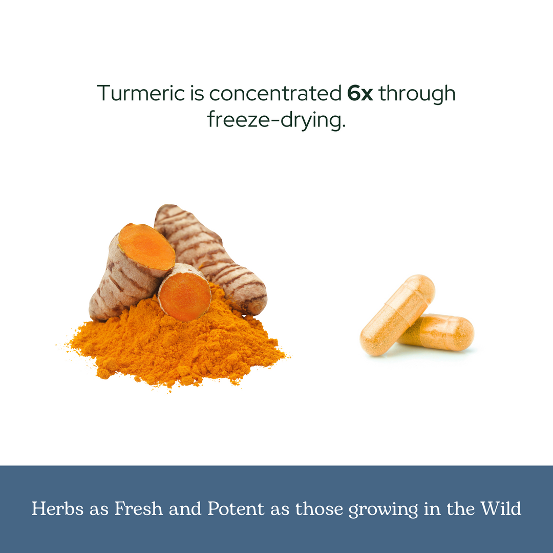 Turmeric Capsules