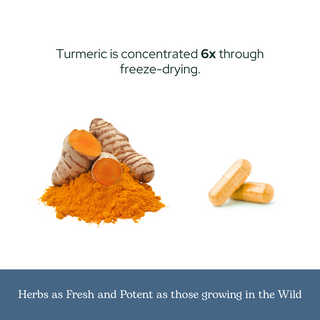 Turmeric Capsules