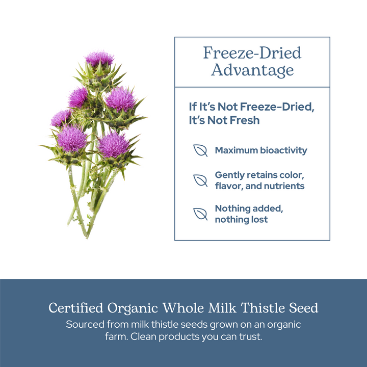 Milk Thistle Capsules