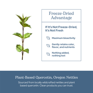 Nettle