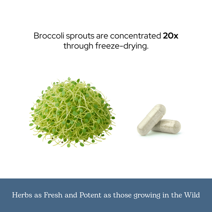 Broccoli Sprouts Capsules
