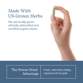 Hops Capsules