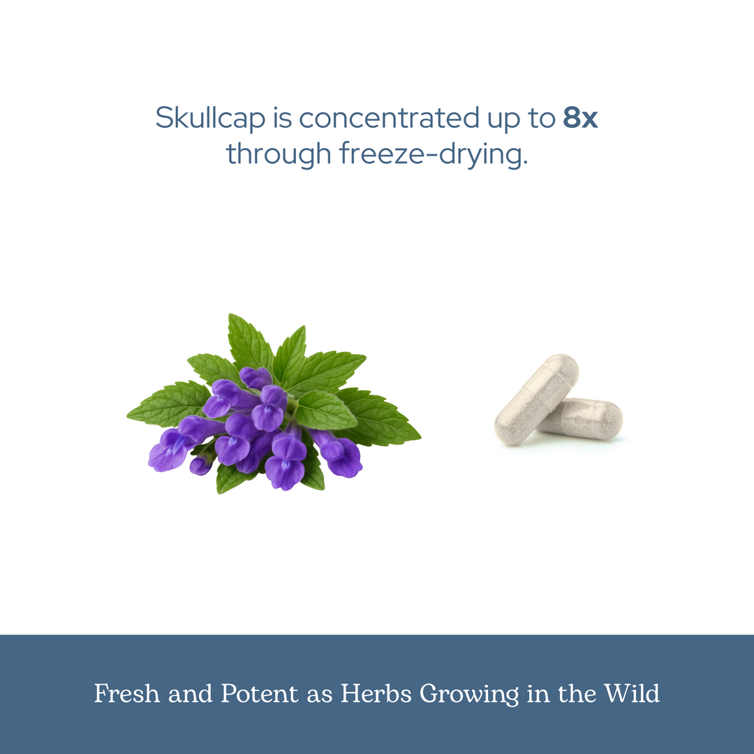 Skullcap Capsules
