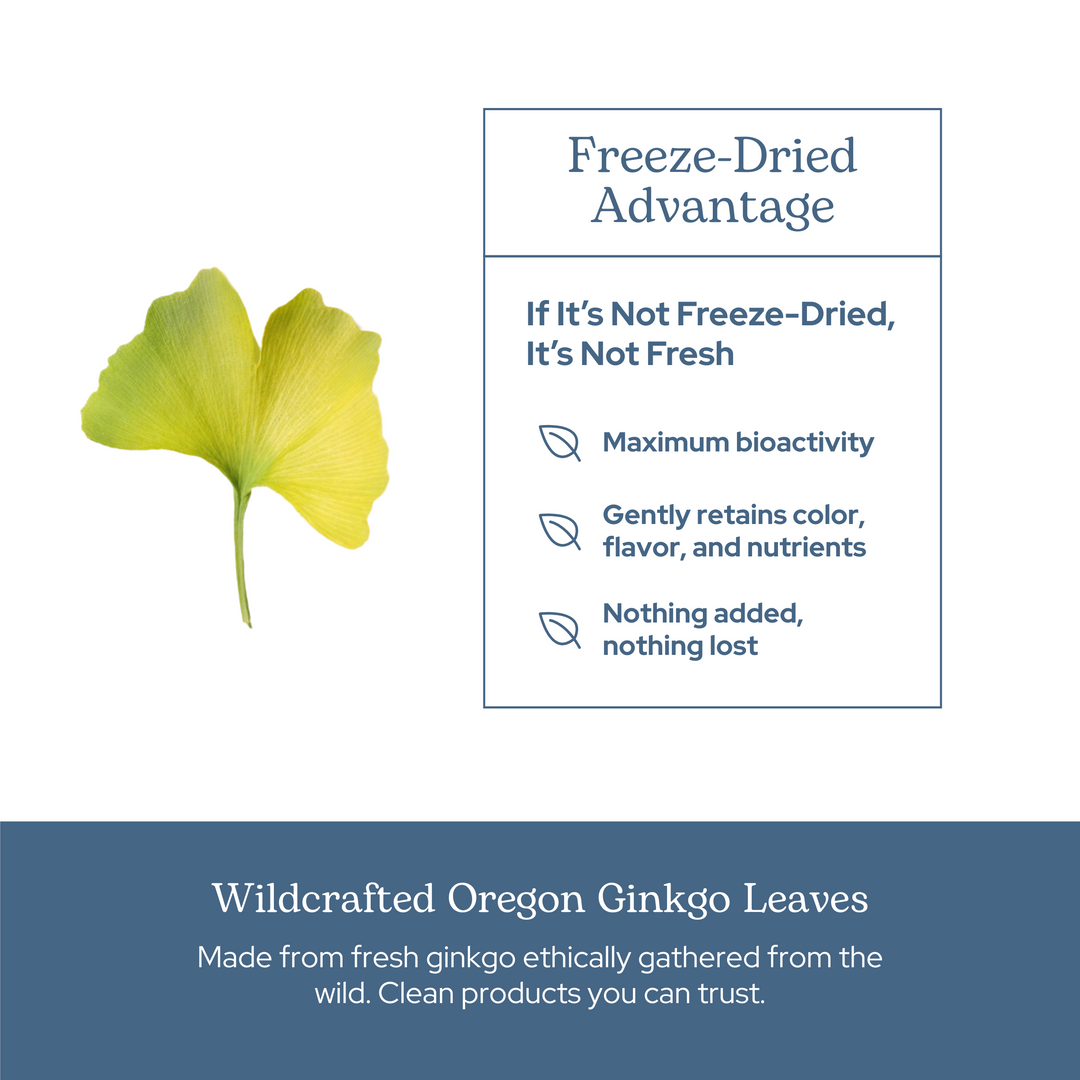 Ginkgo Capsules