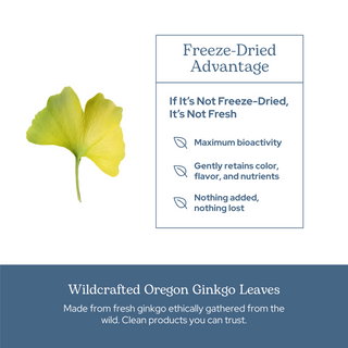 Ginkgo Capsules
