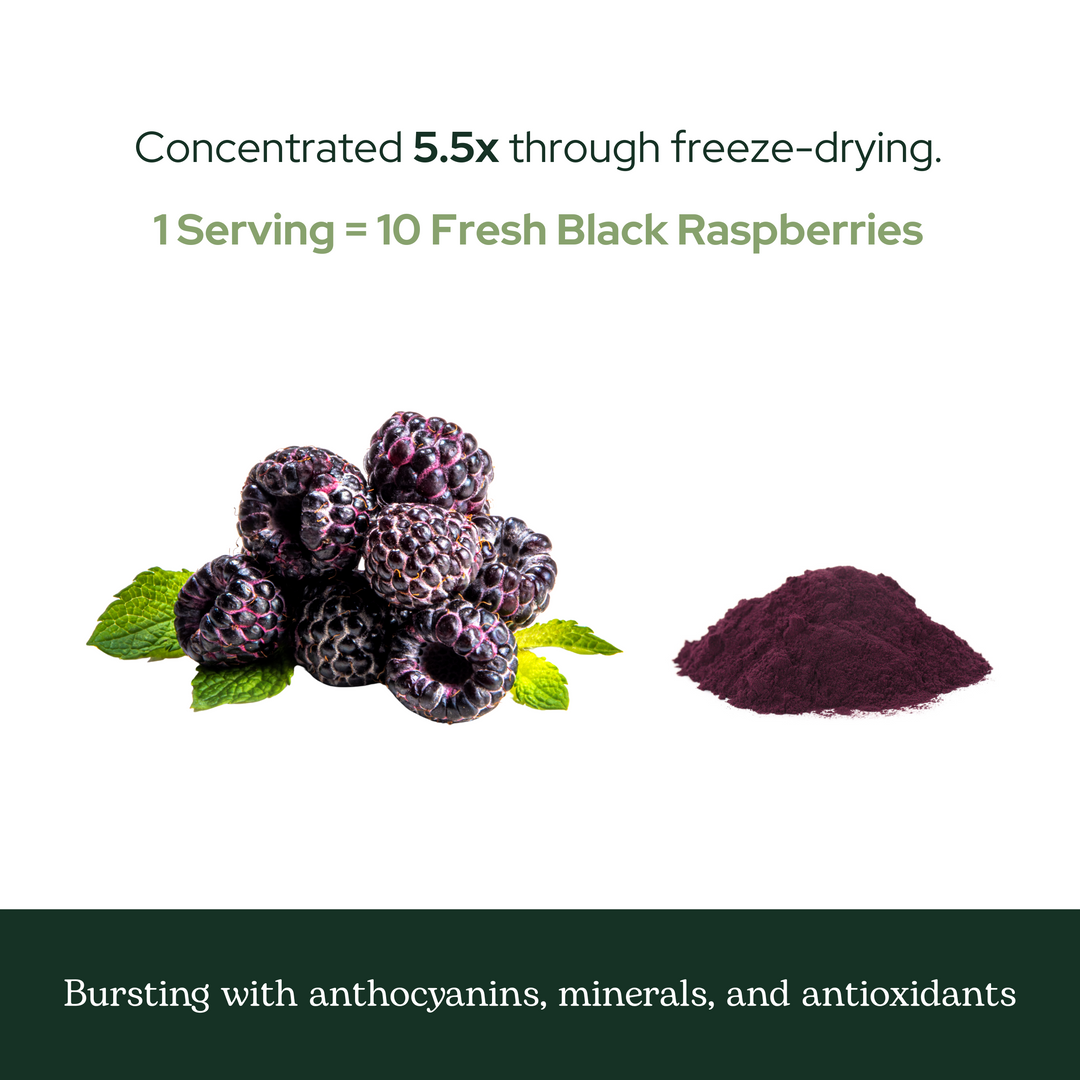 Black Raspberry Powder | Natural, Oregon-Grown Antioxidant Support ...