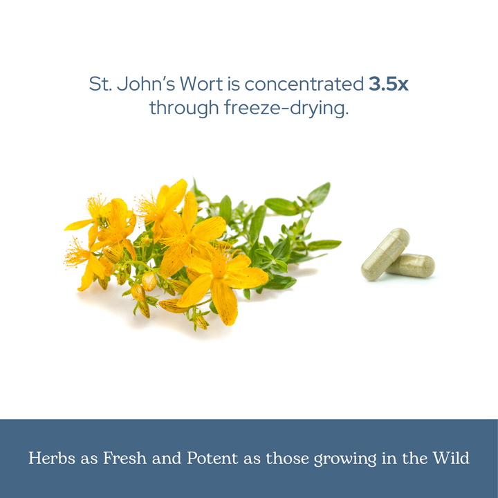St. John's Wort Capsules