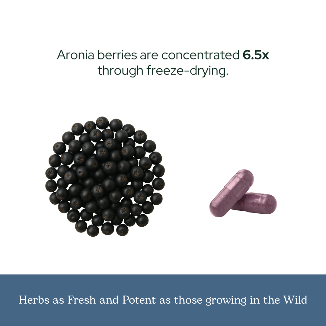 Aronia Berry Capsules
