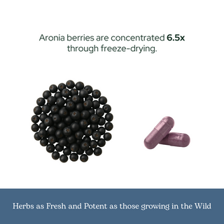 Aronia Berry Capsules