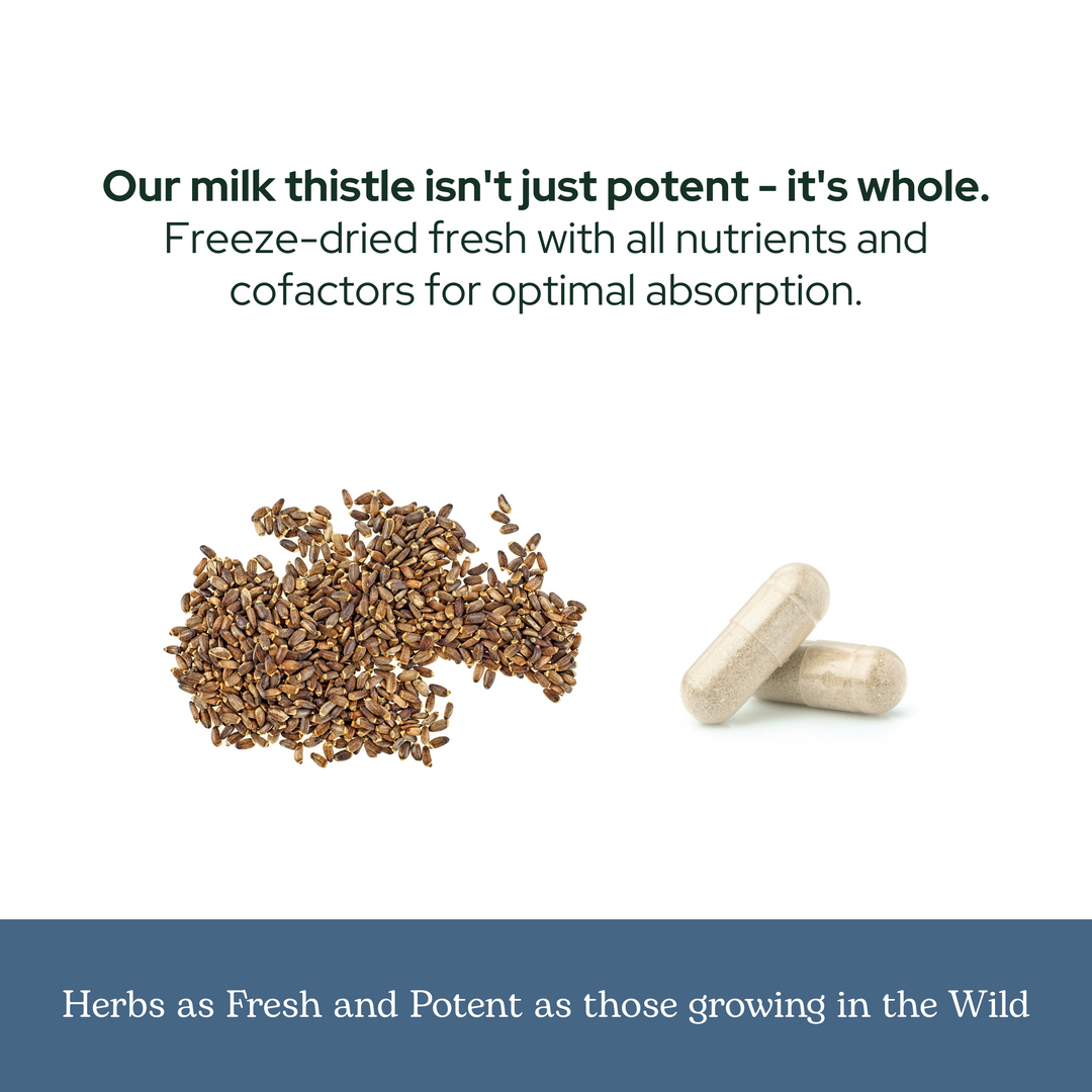 Milk Thistle Capsules