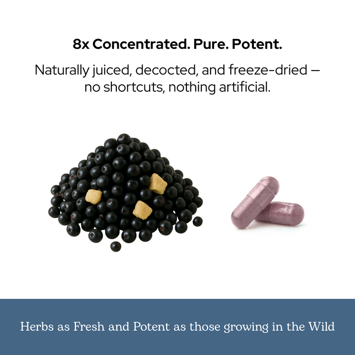 Elderberry Immune Capsules