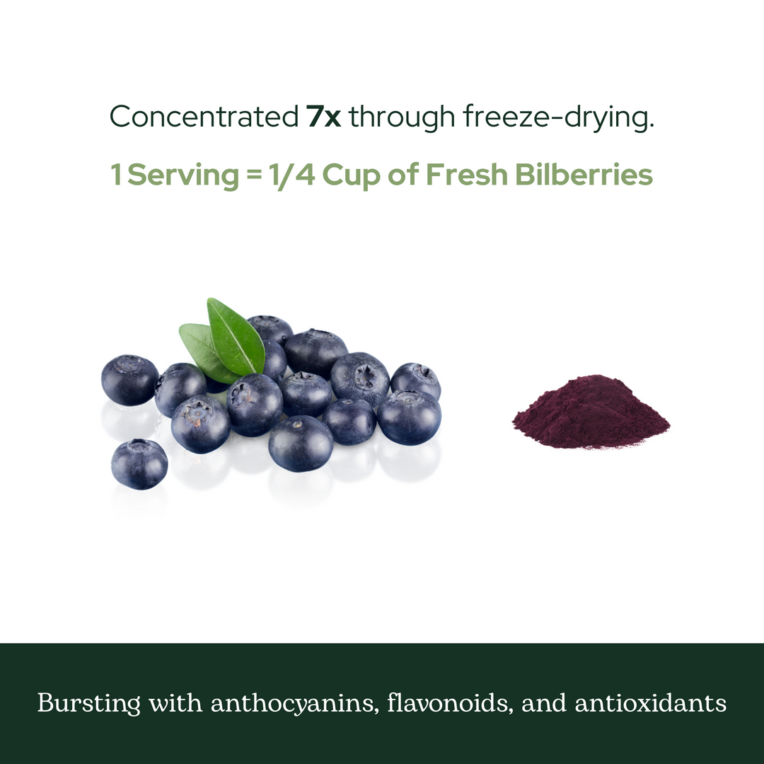 Bilberry