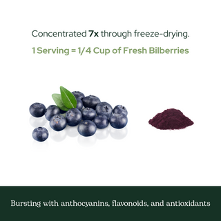 Bilberry