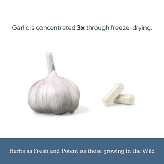 Garlic Capsules