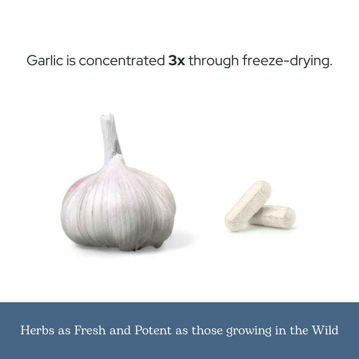Garlic Capsules