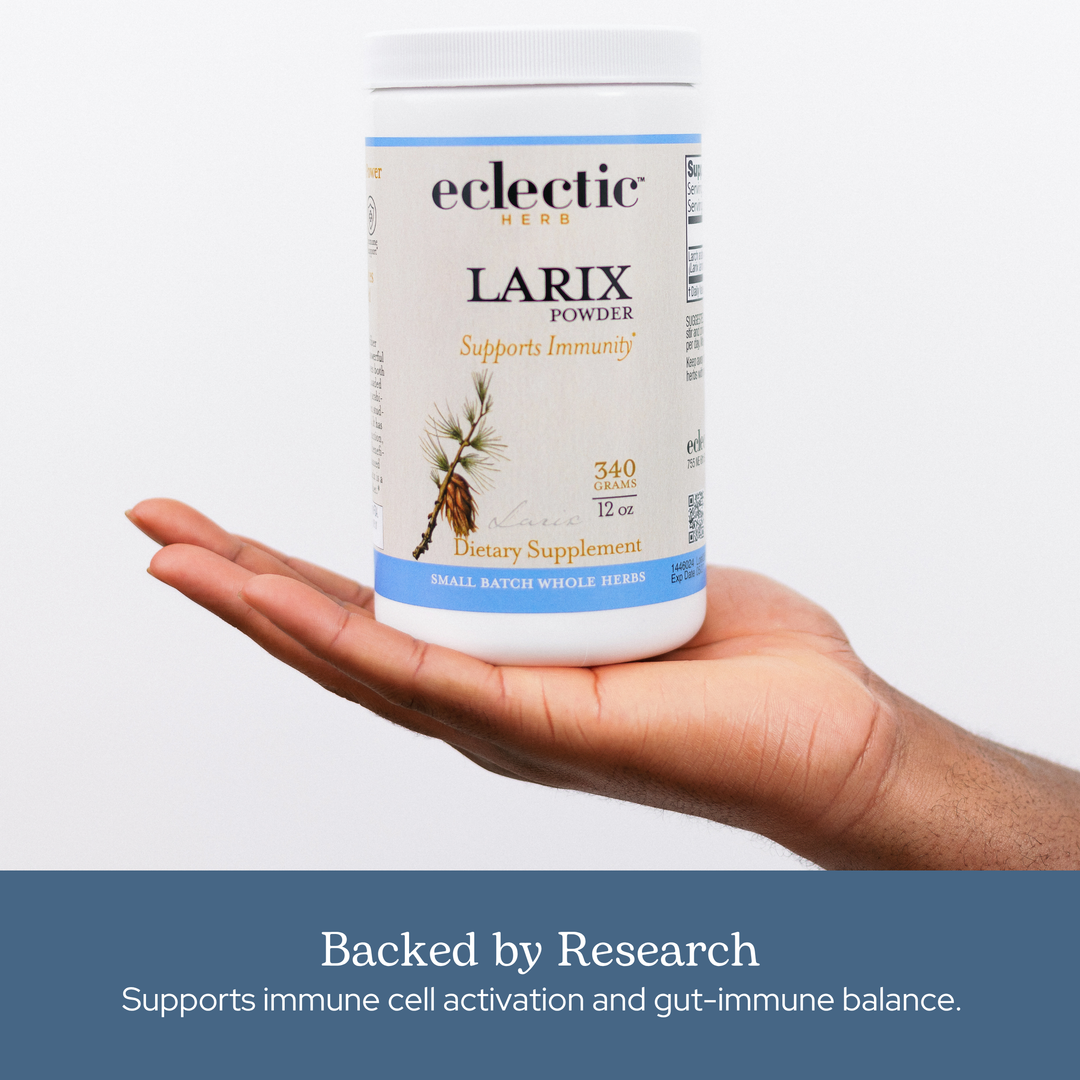 Larix Powder