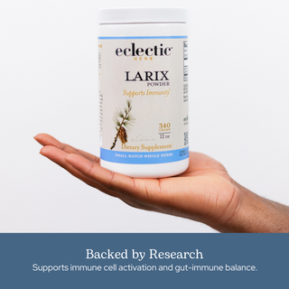 Larix Powder