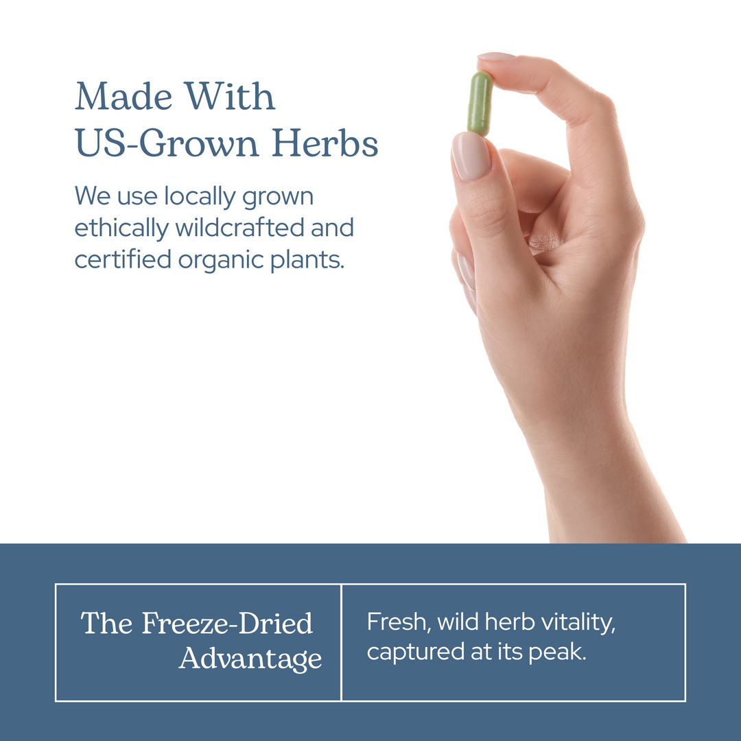 Aronia Berry Capsules