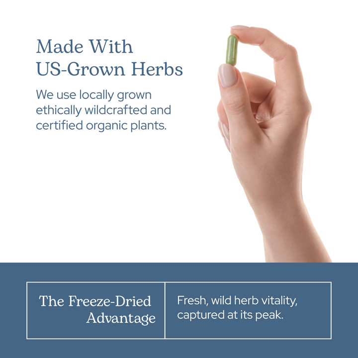 Aronia Berry Capsules