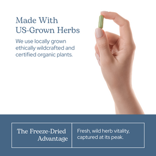 Milk Thistle Capsules