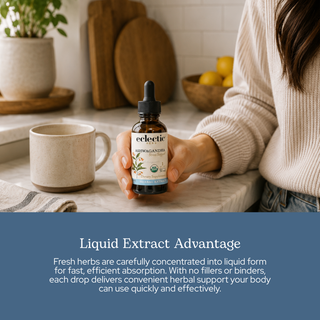 Ashwagandha Extract