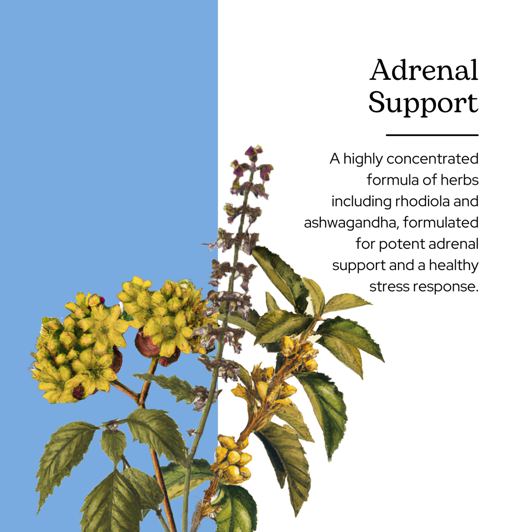 Adrenal Support Capsules