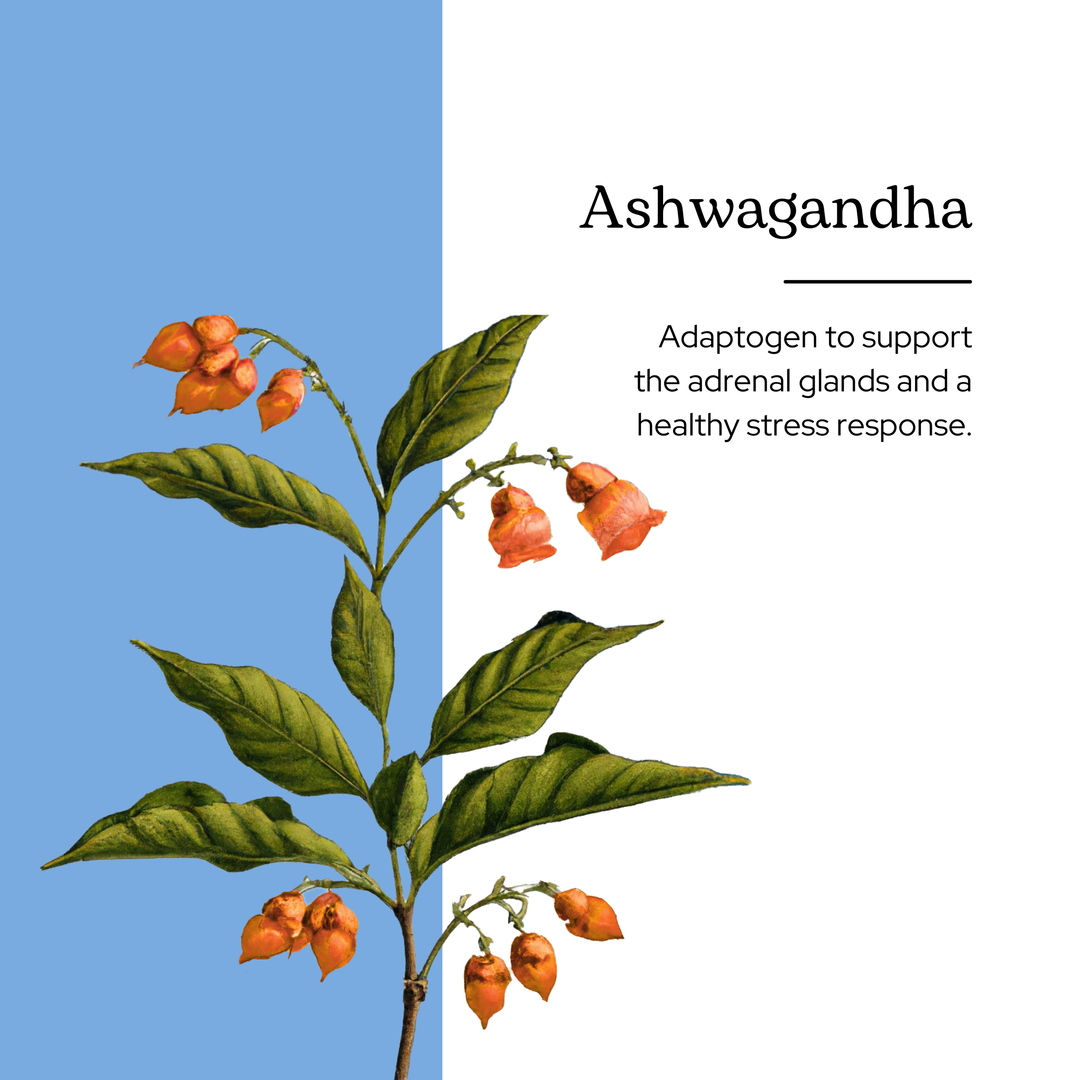 Ashwagandha Extract