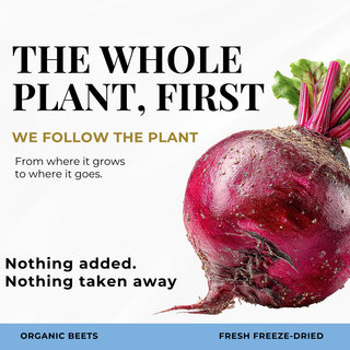 Beet Juice Capsules
