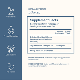 Bilberry glycerite bottle highlighting vision and cardiovascular support with ethically sourced European bilberry extract