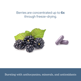 Blackberry capsules made from freeze-dried whole blackberries for digestive, immune, and antioxidant support