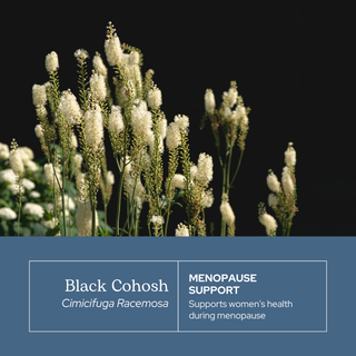 Black Cohosh Capsules