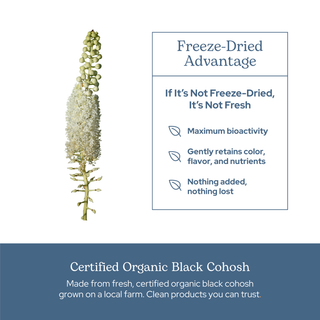 Organic Black Cohosh capsules for menopause support and joint comfort, freeze-dried for potency, Non-GMO and gluten-free