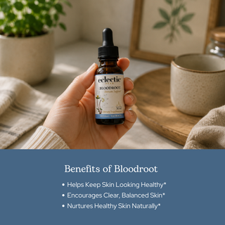 Bloodroot Extract