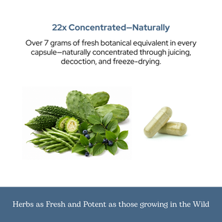 Blood Sugar Balance Capsules