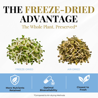 Broccoli Sprouts Capsules