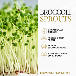 Broccoli Sprouts Capsules