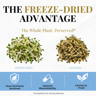 Broccoli Sprouts Powder