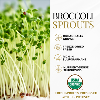 Broccoli Sprouts Powder