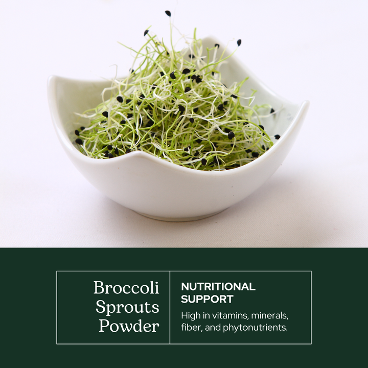 Broccoli Sprouts Powder