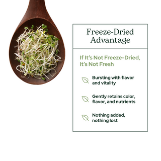 Broccoli Sprouts Powder