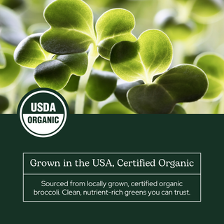 Broccoli Sprouts Powder