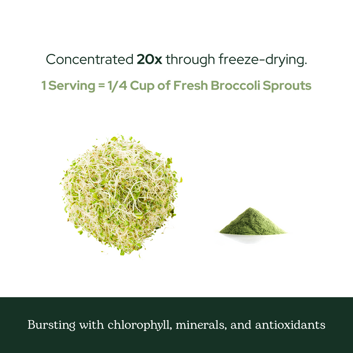 Broccoli Sprouts Powder