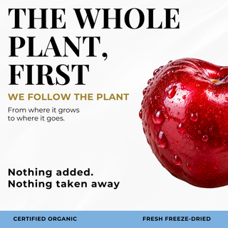 A square promotional graphic with the text 'THE WHOLE PLANT, FIRST' and 'WE FOLLOW THE PLANT' beside a close-up of a glossy red apple covered in water droplets. Smaller text reads 'Nothing added.